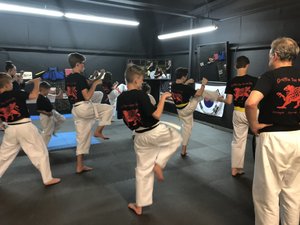 A class practicing kicks