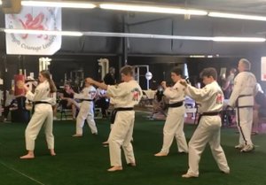 Tae kwon do class demonstrates fighting stance